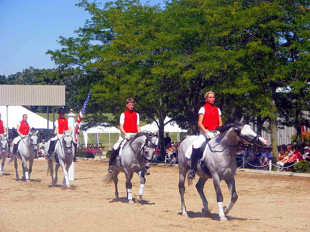 Tempel Lippizans~ An Intricate Horse Ballet