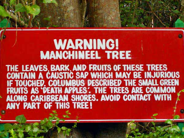 Hidden Travel Dangers