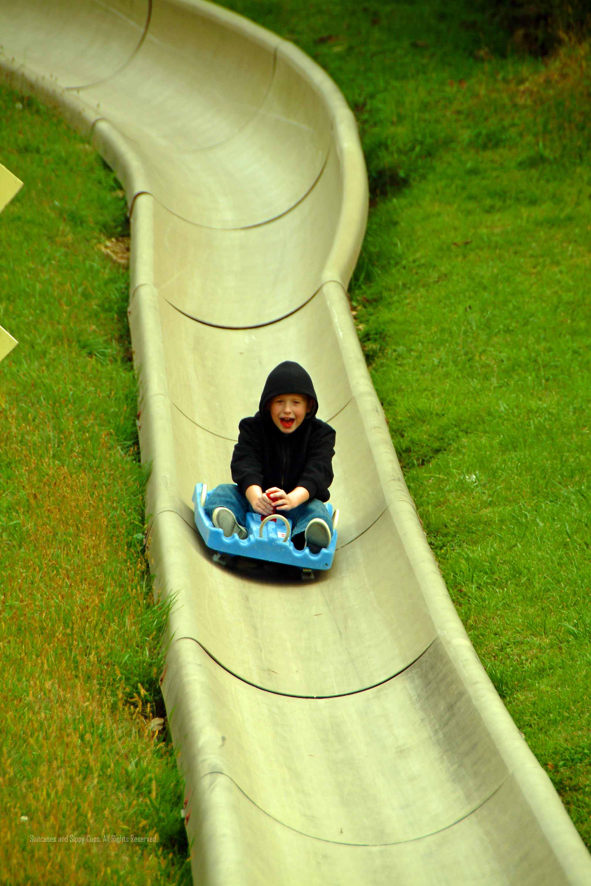 Alpine Sliding at Chestnut Mountain Resort