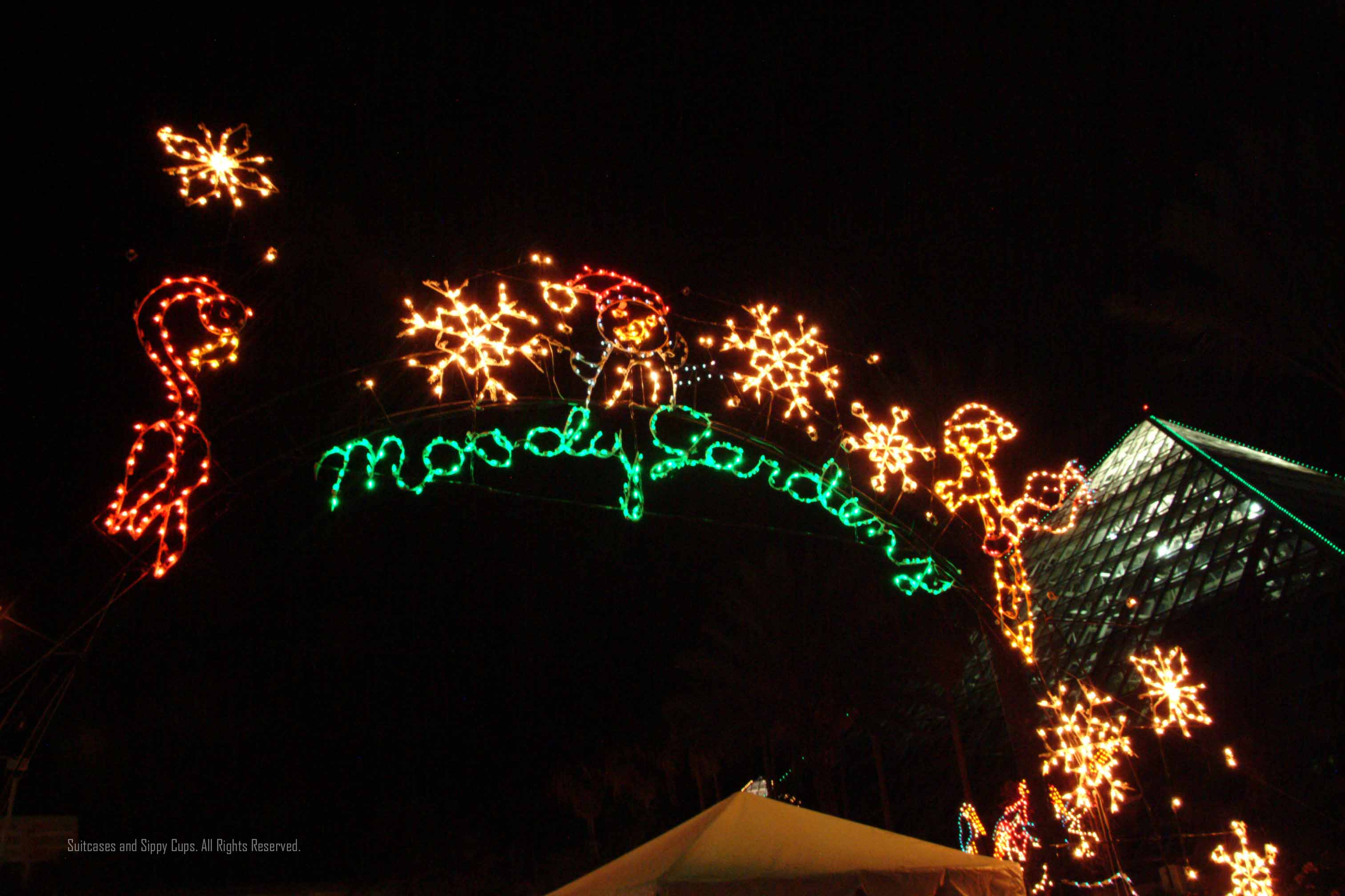 Festival of Lights ~Moody Gardens ~ Galveston, Texas