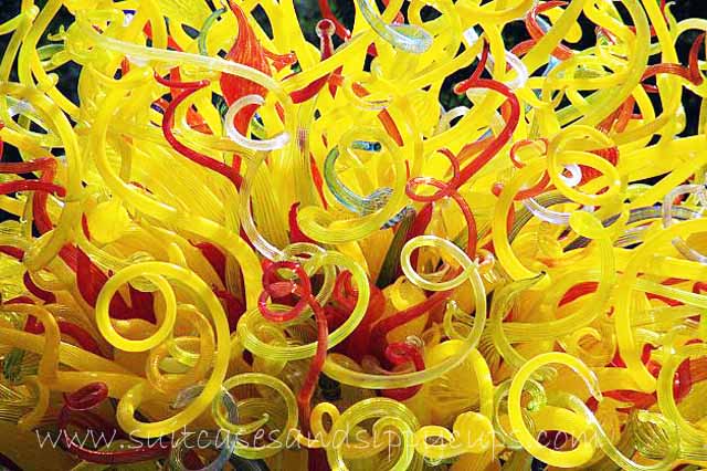 A Chihuly Art Encounter at the Dallas Arboretum