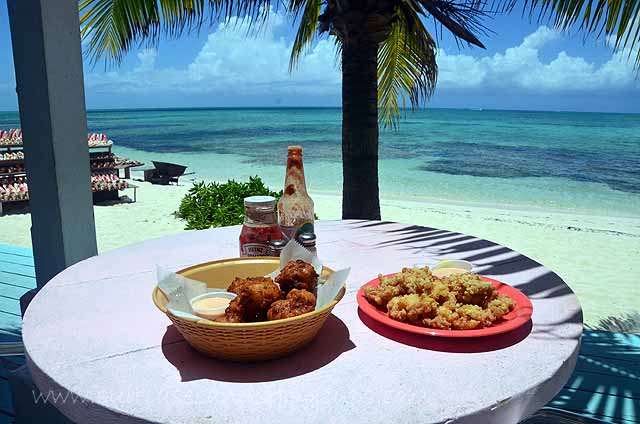 Conched Out~Meeting and Eating the Conch of the Turks and Caicos