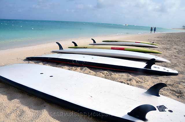 Downward Dog in Paradise:Tips for a First Paddleboard Yoga Class: Travel Tips Tuesday