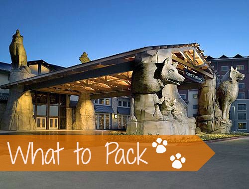 What to Pack for Great Wolf Lodge:Travel Tips Tuesday