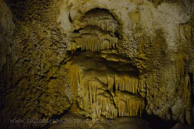 Way More than Hype: Planning a Day at Carlsbad Caverns