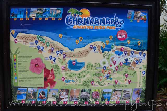 Chankanaab National Park: A Family Getaway in Cozumel