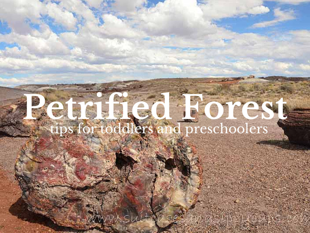 On the Way to Grand Canyon: Tips For Visiting Petrified Forest with Kids