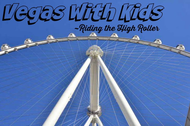 Making a Fool of Myself at 550 Feet~A High Roller Review