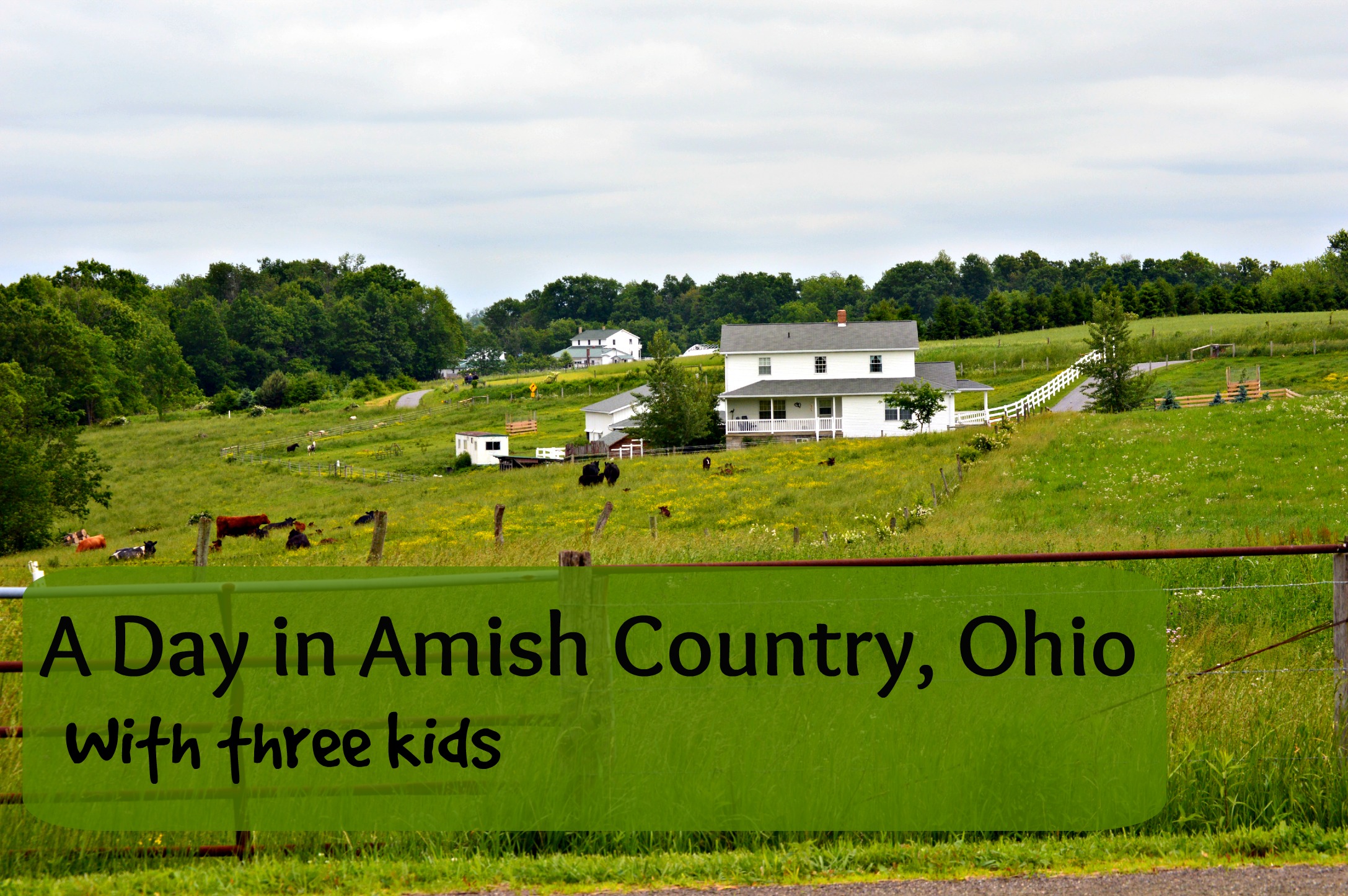 One Day Itinerary for Ohio Amish Country with Kids