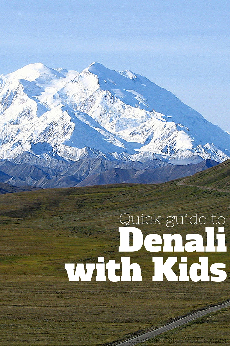 Tips for Visiting Denali with Kids