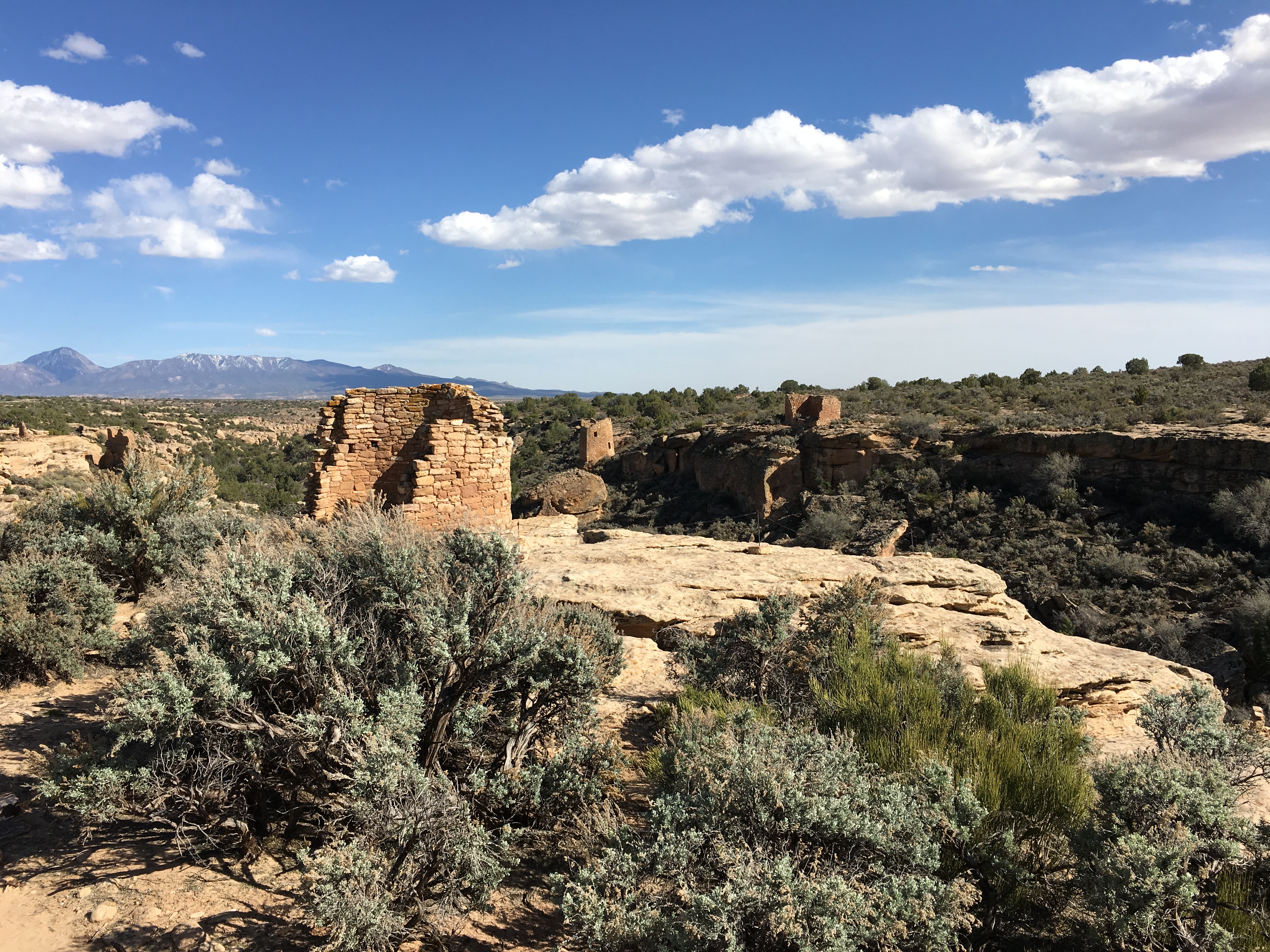 10 Activities You’ll Miss If You Drive Straight Through Mesa Verde Country