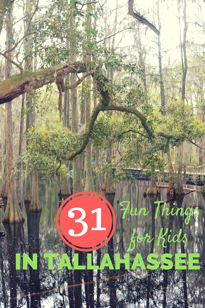 31 Things to do with Kids This Summer in Tallahassee